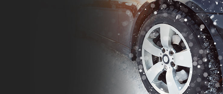 Hình ảnh sub banner